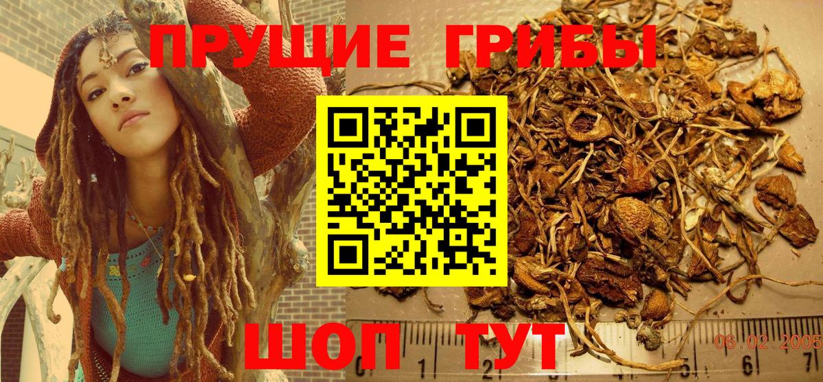 Гатчина  где продают   Вход с VPN  Псилоцибиновые грибы Magic Shrooms 
