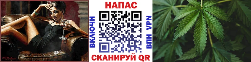 Каннабис OG Kush  Гатчина 